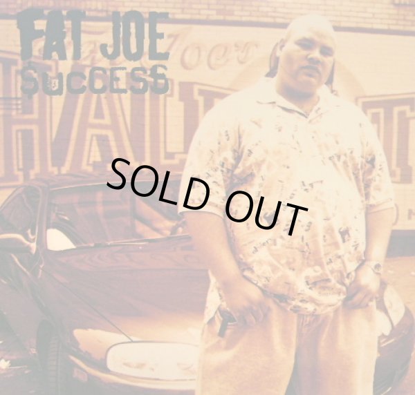 画像1: FAT JOE / SUCCESS (1)