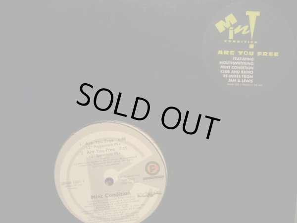 画像1: MINT CONDITION / ARE YOU FREE (1)