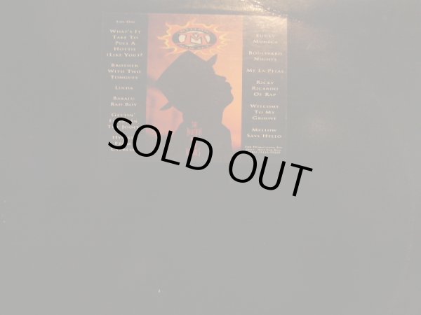 画像2: MELLOW MAN ACE / THE BROTHER WITH TWO TONGUES (LP) (2)