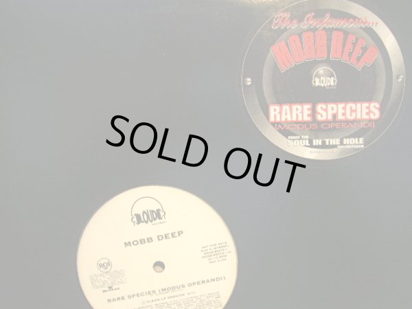 画像1: MOBB DEEP / RARE SPECIES (MODUS OPERANDI) (1)