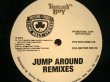 画像2: HOUSE OF PAIN / JUMP AROUND REMIXES (2)