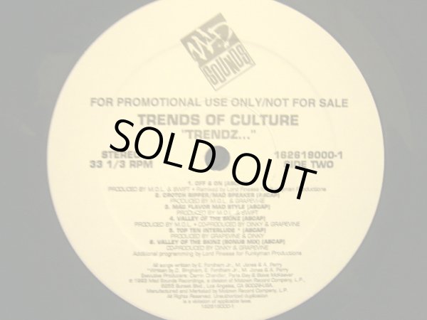 画像2: TRENDS OF CULTURE / TRENDZ… (US PROMO-LP)   (¥1000) (2)