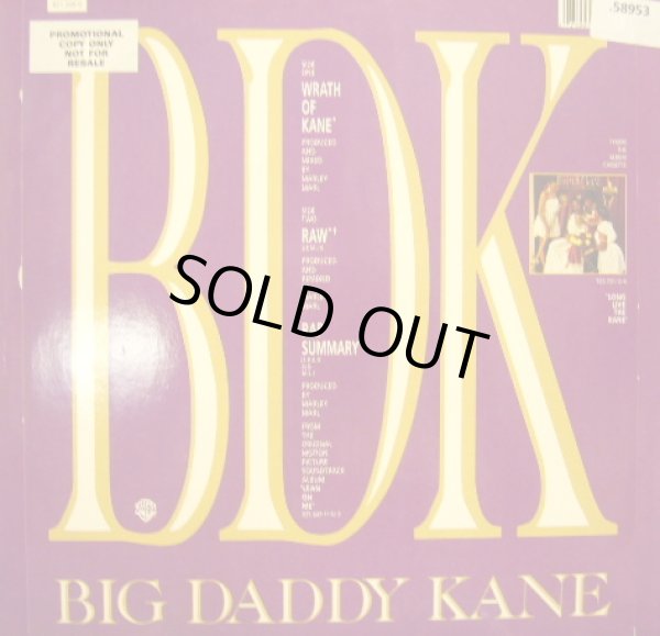 画像2: BIG DADDY KANE / WRATH OF KANE / RAW (REMIX) (2)