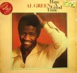 画像1: AL GREEN / HAVE A GOOD TIME (1)