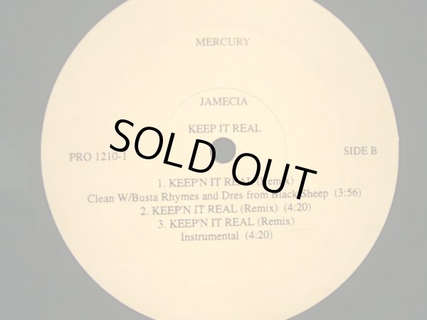 画像2: JAMECIA / KEEP IT REAL (REMIX) feat. BUSTA RHYMES & DRES from BLACK SHEEP (2)