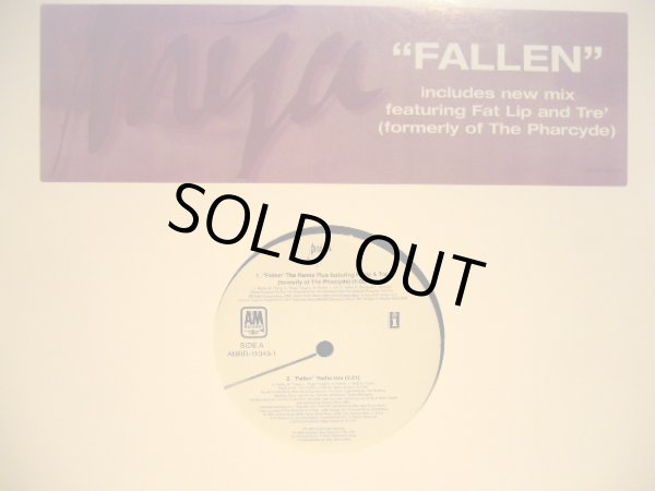 画像1: MYA / FALLEN (THE REMIX PLUS FEATURING FATLIP & TRE' ) (1)