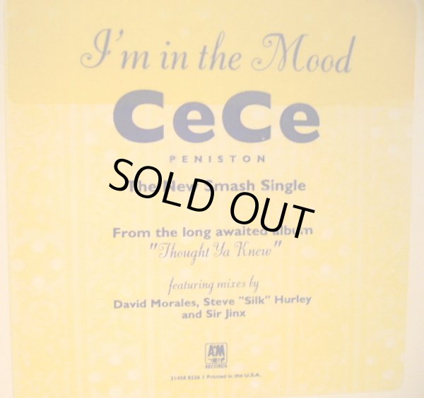 画像2: CECE PENISTON / I’M IN THE MOOD (2×12”) (2)