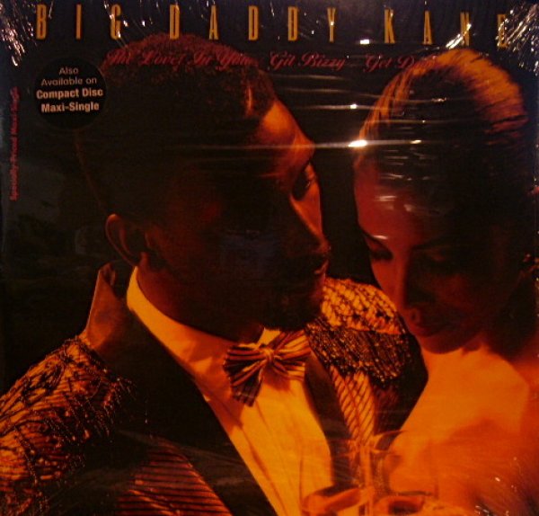 画像1: BIG DADDY KANE / THE LOVER IN YOU (1)