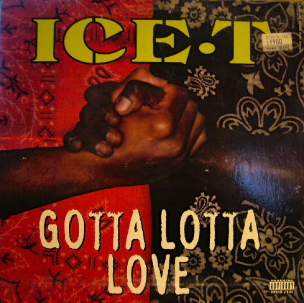 画像1: ICE-T / GOTTA LOTTA LOVE (1)