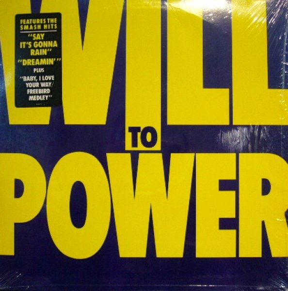 画像1: WILL TO POWER / S.T (1)