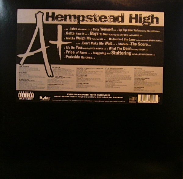 画像1: A+ / HEMPSTEAD HIGH (LP) (1)