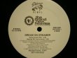 画像2: THE BRAND NEW HEAVIES / DREAM ON DREAMER ( PROMO 2×12”) (2)