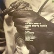 画像1: SILENT POETS / FIRM ROOTS REMIX (2LP) (1)