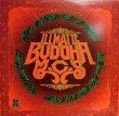 画像1: ILLMATIC BUDDHA MC’S / 病める無限のブッダの世界 ~BEST OF THE BEST(金字塔)~ (3LP) (1)