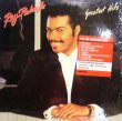 画像1: RAY PARKER JR. / GREATEST HITS (LP) (1)