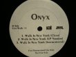 画像2: ONYX / LIVE!!! / WALK IN NEW YORK  (US-PROMO) (2)