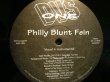 画像1: DVS ONE / PHILLY BLUNT FEIN (1)