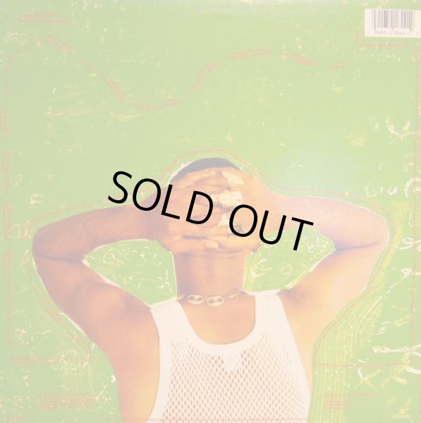 画像2: DADDY FREDDY / STRESS  (LP) (2)