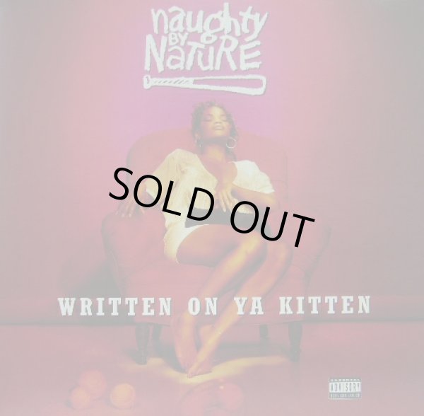 画像1: NAUGHTY BY NATURE / WRITTEN ON YA KITTEN  (¥1000) (1)