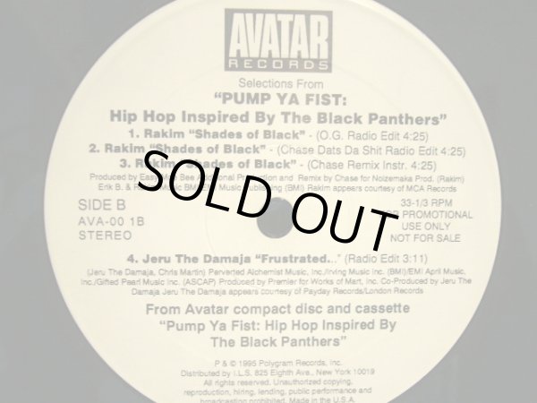 画像2: V.A. / SELECTIONS FROM “PUMP YA FIST”  (US-PROMO) (2)