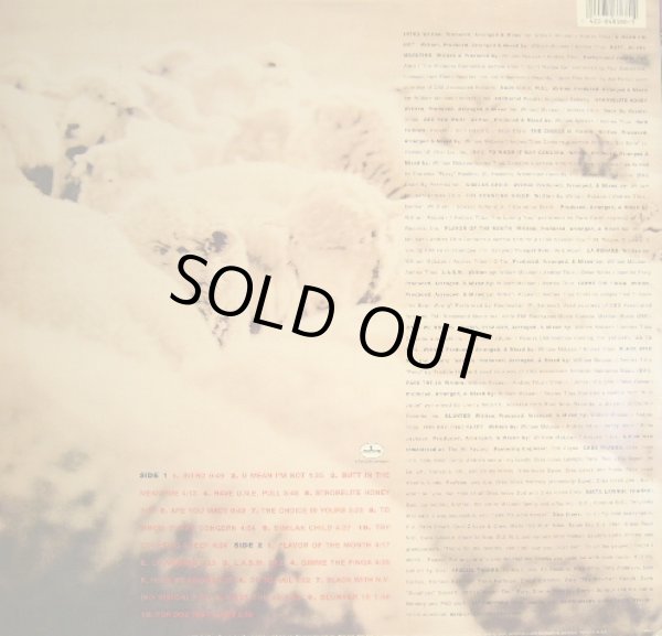 画像2: BLACK SHEEP / A WOLF IN SHEEP’S CLOTHING  (US-LP) (2)