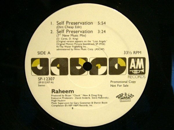 画像1: RAHEEM / SELF PRESERVATION  (US-PROMO) (1)