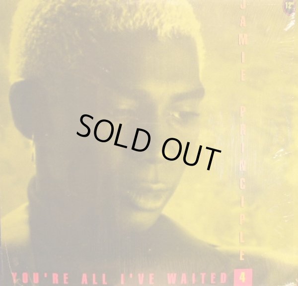 画像1: JAMIE PRINCIPLE / YOU'RE ALL I'VE WAITED 4 (1)