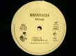 画像3: BAHAMADIA / KOLLAGE  (US-PROMO 2LP) (3)