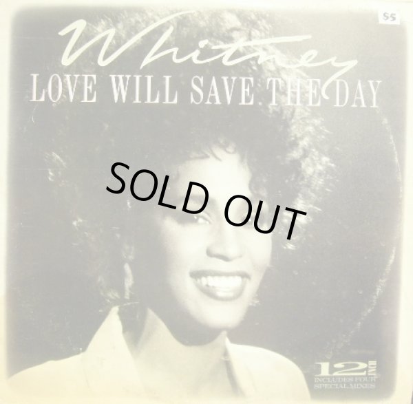 画像1: WHITNEY HOUSTON / LOVE WILL SAVE THE DAY (1)