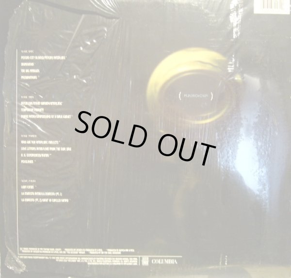 画像2: PSYCHO REALM ‎/ THE PSYCHO REALM  (US-2LP) (2)