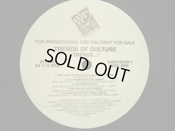 画像3: TRENDS OF CULTURE / TRENDZ… (US PROMO-LP) (3)