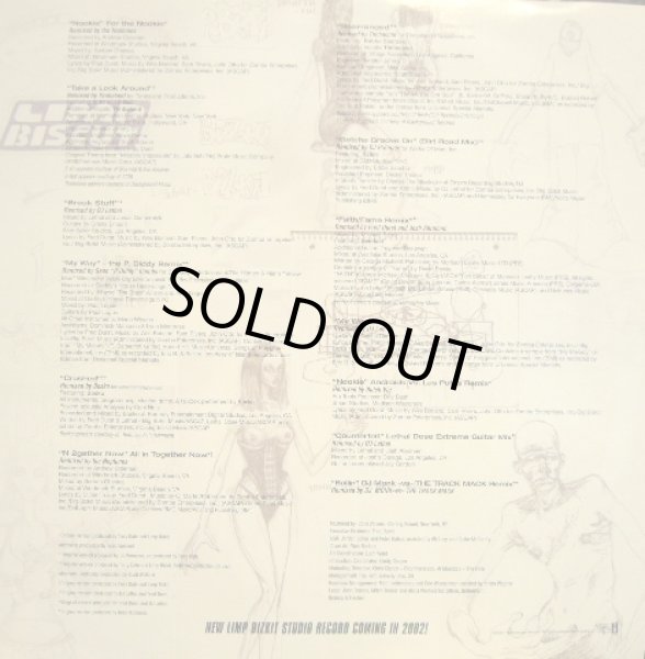 画像7: LIMP BIZKIT ‎/ NEW OLD SONGS  (US-2LP) (7)