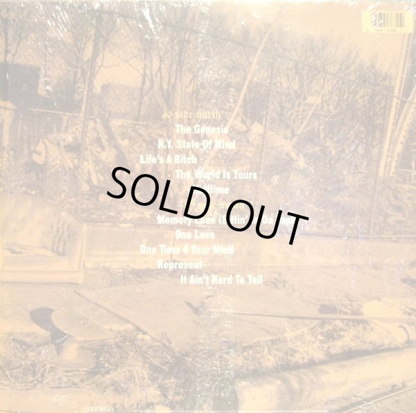 画像2: NAS / ILLMATIC  (US-LP) (2)