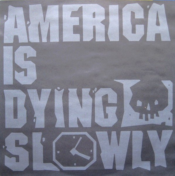画像7: V.A. / AMERICA IS DYING SLOWLY  (US-2LP) (7)