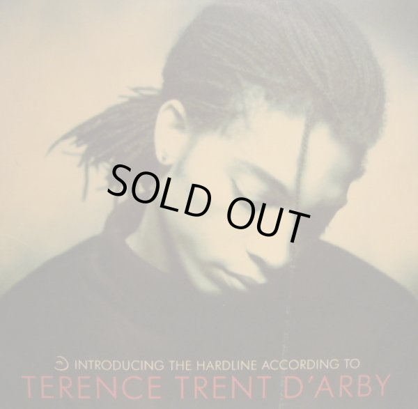 画像1: TERENCE TRENT D'ARBY / INTRODUCING THE HARDLINE ACCORDING TO TERENCE TRENT D'ARBY  (¥1000) (1)