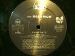 画像1: CHEF RAEKWON / RAINY DAYZ (REMIX)  (US-PROMO) (1)