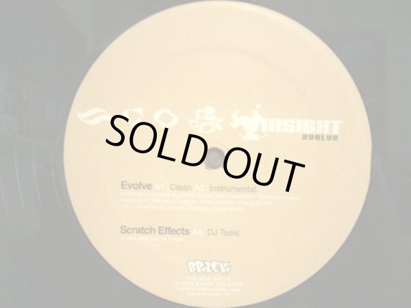 画像3: INSIGHT / EVOLVE (3)