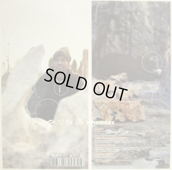 画像2: INSIGHT / EVOLVE (2)