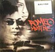 画像1: V.A. / ROMEO MUST DIE / THE ALBUM  (US-2LP) (1)