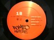 画像5: V.A. / ROMEO MUST DIE / THE ALBUM  (US-2LP) (5)