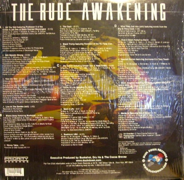 画像2: COCOA BROVAZ / THE RUDE AWAKENING  (US-2LP) (2)