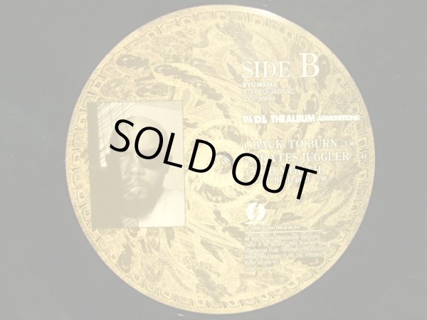 画像6: D.L / THE ALBUM  (ADMONITIONS)  (2LP) (6)