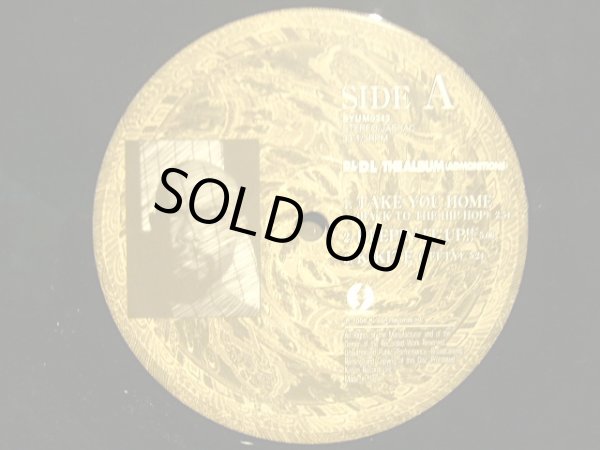 画像5: D.L / THE ALBUM  (ADMONITIONS)  (2LP) (5)