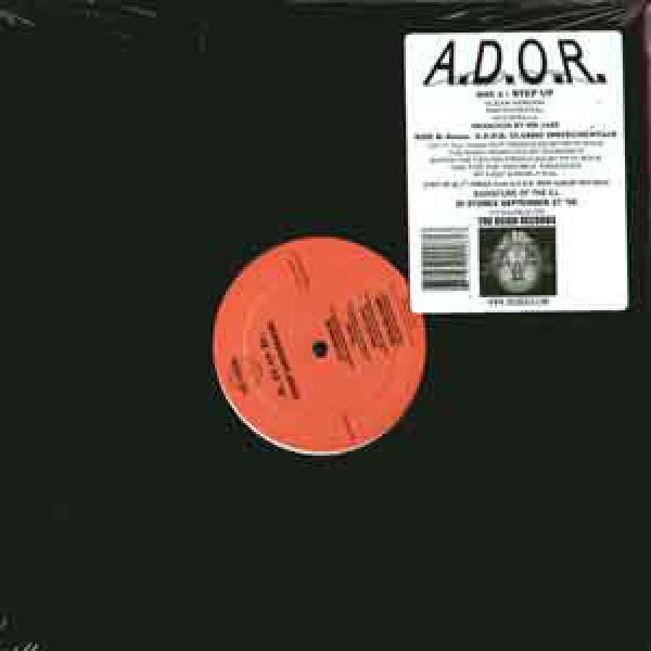 画像1: A.D.O.R. ‎/ STEP UP / A.D.O.R. CLASSIC INSTRUMENTALS (1)