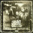 画像1: NAUGHTY BY NATURE ‎/ POVERTY'S PARADISE  (UK-LP) (1)