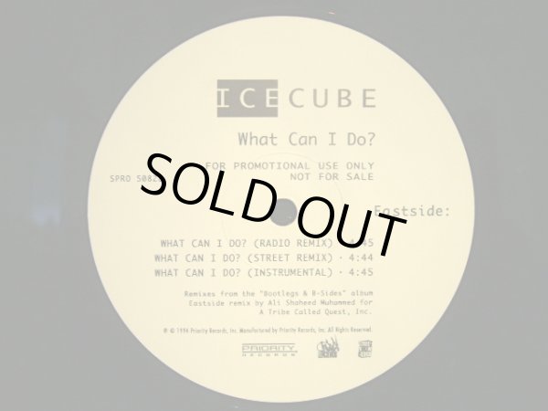 画像3: ICE CUBE / WHAT CAN I DO?  (US-PROMO) (3)
