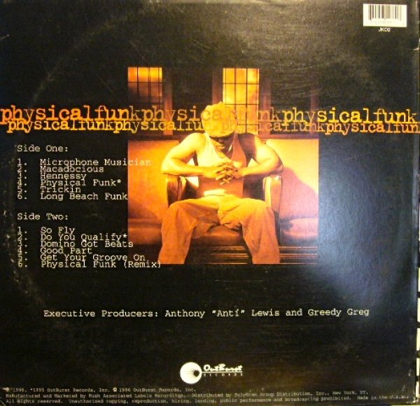 画像2: DOMINO / PHYSICAL FUNK  (US-LP) (2)