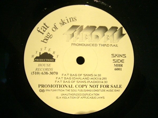 画像2: THIRD RL ‎/ FAT BAG OF SKINS / SUMMER DAYS / ADVENTURES (2)