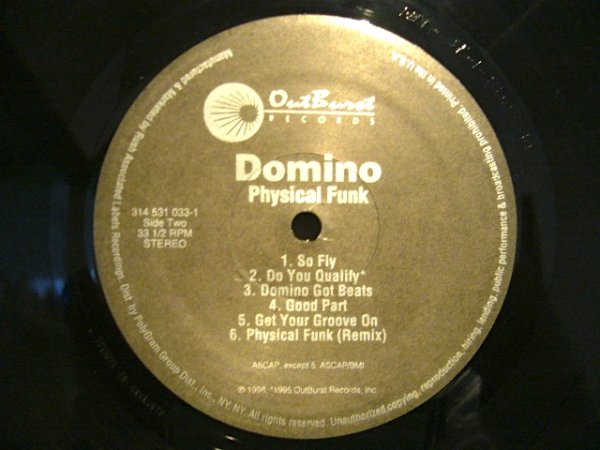 画像4: DOMINO / PHYSICAL FUNK  (US-LP) (4)