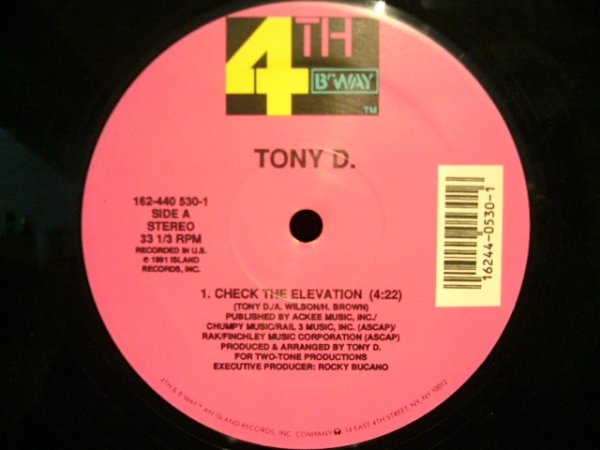 画像1: TONY D. / CHECK THE ELEVATION (1)